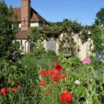 Cottage Garden Poppies